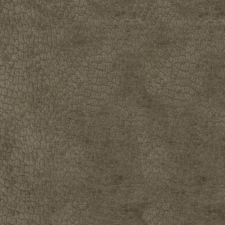 Performance Pebblestone Driftwood 411486 by PKL Studio Fabric - 100% polyester China 51000 Horizontal: 6.8 and Vertical: 6.8 55 - Fabric Carolina -