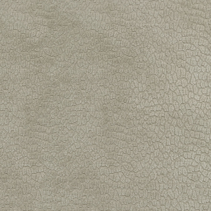 Performance Pebblestone Cloud 411488 by PKL Studio Fabric - 100% polyester China 51000 Horizontal: 6.8 and Vertical: 6.8 55 - Fabric Carolina -