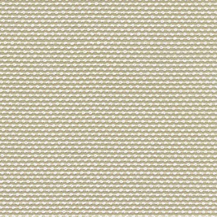 Breuer Pachment 411510 by PKL Studio Fabric - 100% polyester China 24000 Horizontal: .4 and Vertical: .5 56 - Fabric Carolina -