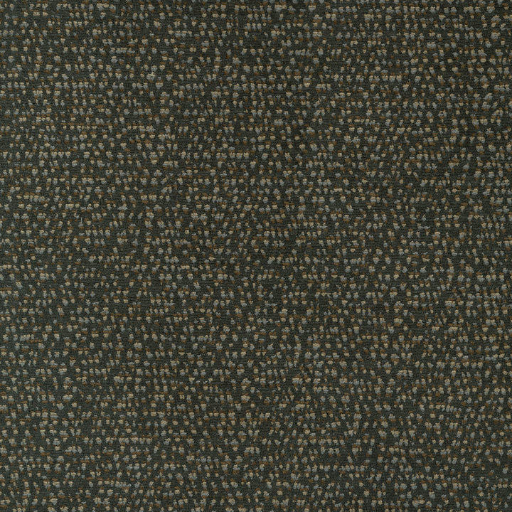 Performance Kenya Sable 411535 by PKL Studio Fabric - base: 100% polyester Back: 100% acrylic backing China 51000 Horizontal: 0 and Vertical: 0 54 - Fabric Carolina -