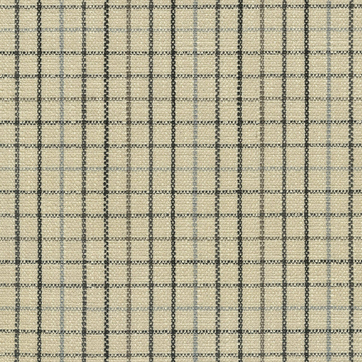 Keep In Check Stone 411580 by PKL Studio Fabric 100% Polyester China 51000 Horizontal: 2.5 and Vertical: 2.5 55 - Fabric Carolina -