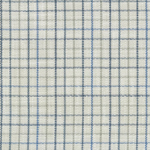 Keep In Check Porcelain 411583 by PKL Studio Fabric