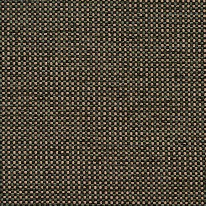 4115 Alpine by Charlotte Fabric Decorative Durables X 100% Olefin Made In USA Exceeds 500,000 Wyzenbeek Rubs (Heavy Duty) </p><p>Repeat: 54 Inches - Fabric Carolina -