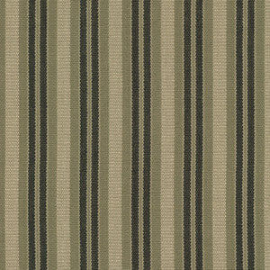 Silverton Stripe Tumblewood 411692 by PKL Studio Fabric