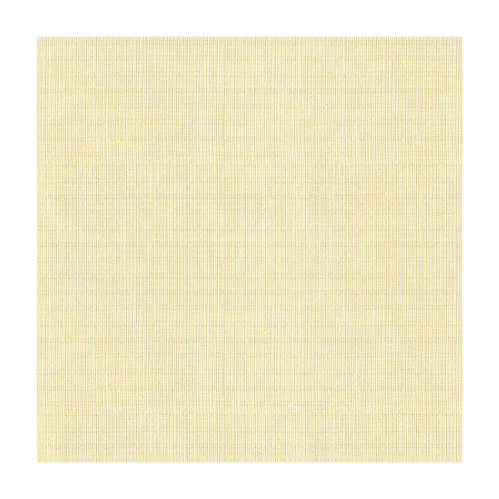 4116-1 by Kravet Basics Fabric POLYESTER - 100% Turkey Horizontal: and Vertical: 118 - Fabric Carolina -