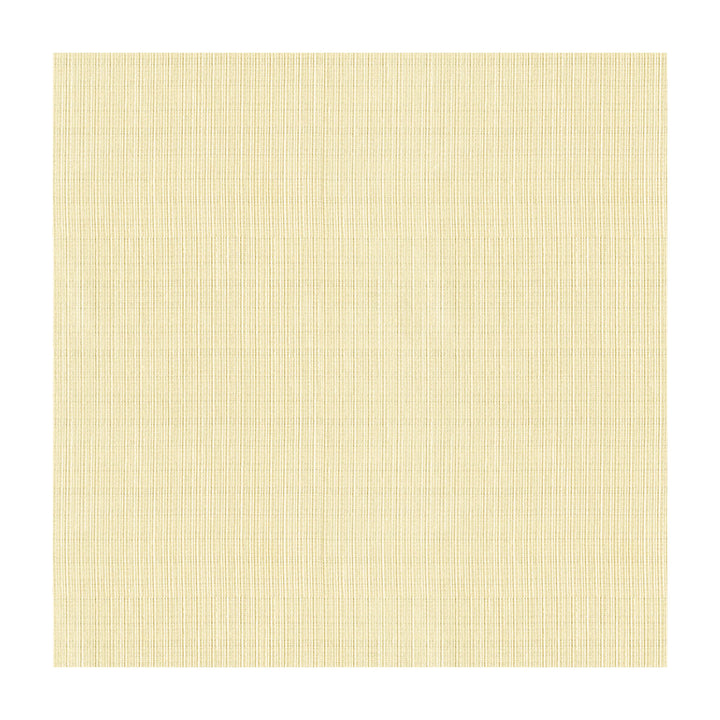4116-1 by Kravet Basics Fabric POLYESTER - 100% Turkey Horizontal: and Vertical: 118 - Fabric Carolina -