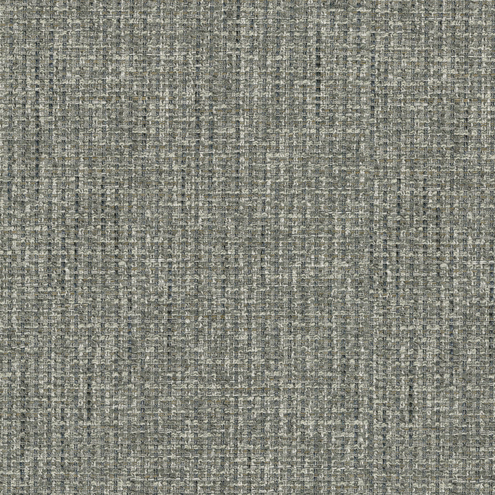 Silas Gray 411712 by PKL Studio Fabric 100% Polyester India 51000 Horizontal: N/A and Vertical: N/A 54 - Fabric Carolina -