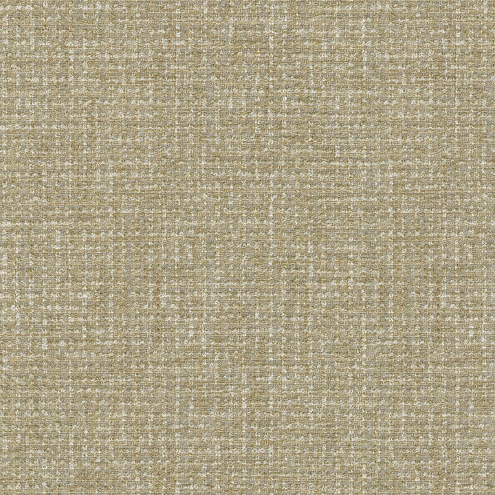 Silas Linen 411713 by PKL Studio Fabric 100% Polyester India 51000 Horizontal: N/A and Vertical: N/A 54 - Fabric Carolina -