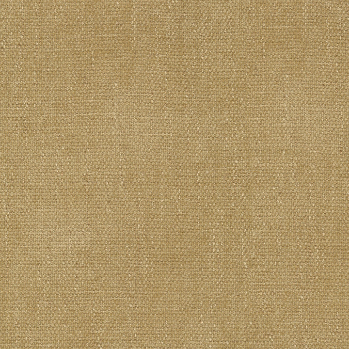 Perf Rowan Gold 411724 by PKL Studio Fabric 100% Polyester China 51000 Horizontal: N/A and Vertical: N/A 54 - Fabric Carolina -