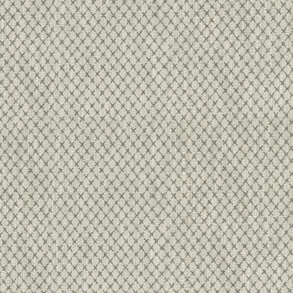 Vega Charcoal 411751 by PKL Studio Designer Fabric 87% Polyester, 13% Cotton India 51000 Horizontal: 0.88 and Vertical: 1 54 - Swanky Fabrics -
