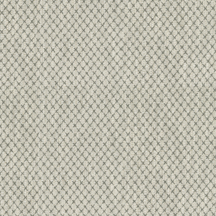 Vega Charcoal 411751 by PKL Studio Designer Fabric 87% Polyester, 13% Cotton India 51000 Horizontal: 0.88 and Vertical: 1 54 - Swanky Fabrics -