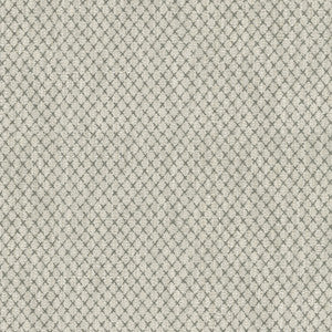 Vega Charcoal 411751 By PKL Studio Fabric