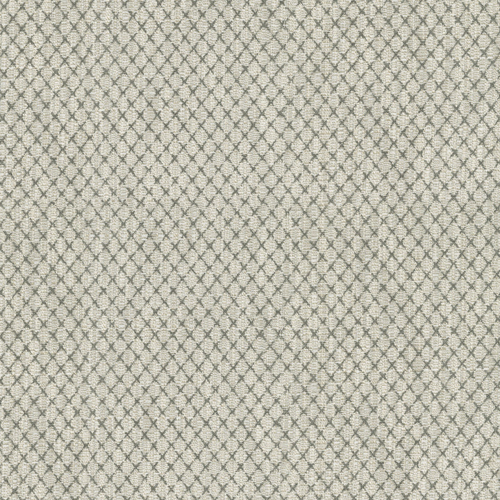 Vega Charcoal 411751 by PKL Studio Fabric 87% Polyester, 13% Cotton India 51000 Horizontal: 0.88 and Vertical: 1 54 - Fabric Carolina -