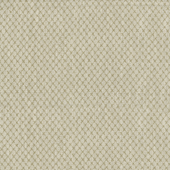 Vega Linen 411754 by PKL Studio Fabric 87% Polyester, 13% Cotton India 51000 Horizontal: 0.88 and Vertical: 1 54 - Fabric Carolina -