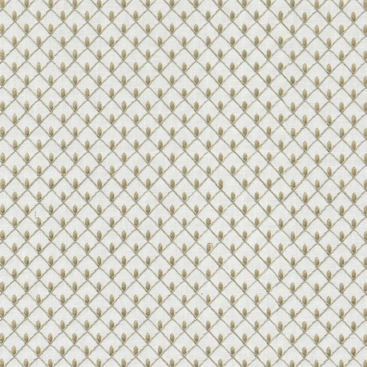 Picot Emb Linen 411843 by PKL Studio Fabric Base 50% Polyester, 50% Cotton Emb 100% Rayon India 51000 Horizontal: 1 and Vertical: 1 55 - Fabric Carolina -