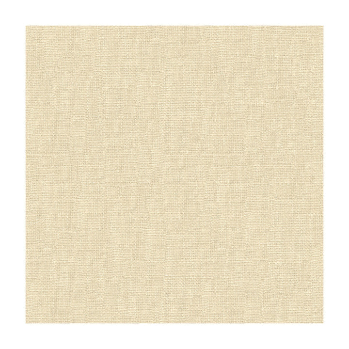 4118-1 by Kravet Basics Fabric - POLYESTER - 100% Turkey - Horizontal: - and Vertical: - 118 - Fabric Carolina -