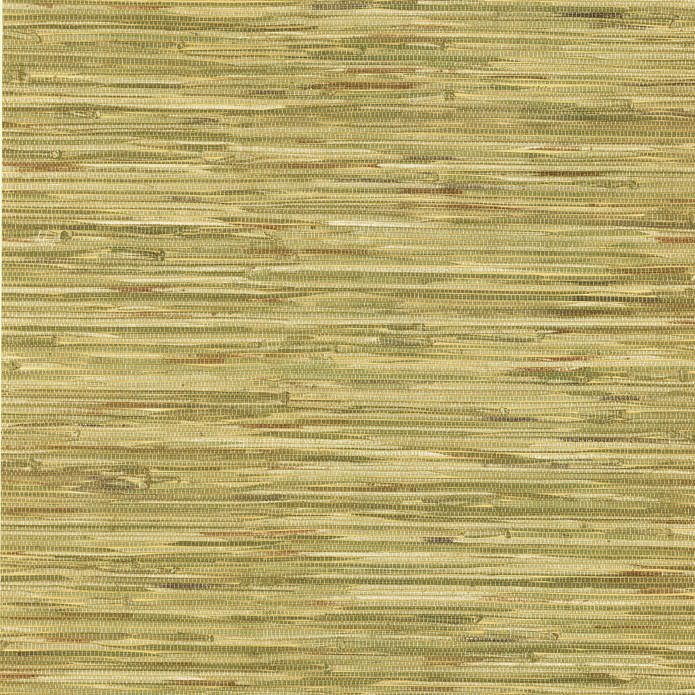 Lepeka Green Grasscloth Wallpaper by Brewster Textures, Techniques & Finishes Covers about 56.4 square feet 20.5-in by 33-ft long roll Prepasted 21 - Fabric Carolina -