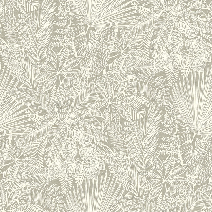 Vita Light Brown Botanical Wallpaper by A-Street Prints Middleton Covers about 56.4 square feet 20.5-in by 33-ft long roll Unpasted 20.9 - Fabric Carolina -