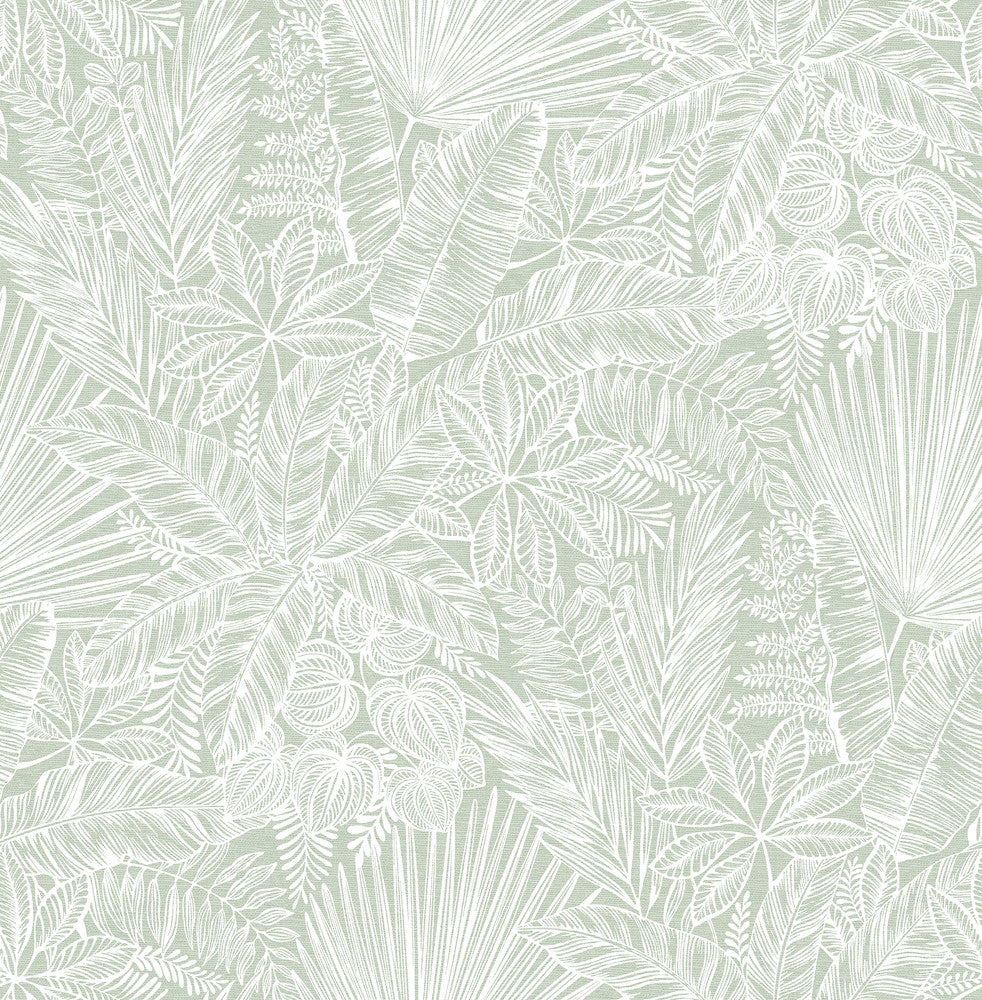 Vita Sage Botanical Wallpaper by A-Street Prints Middleton Covers about 56.4 square feet 20.5-in by 33-ft long roll Unpasted 20.9 - Fabric Carolina -