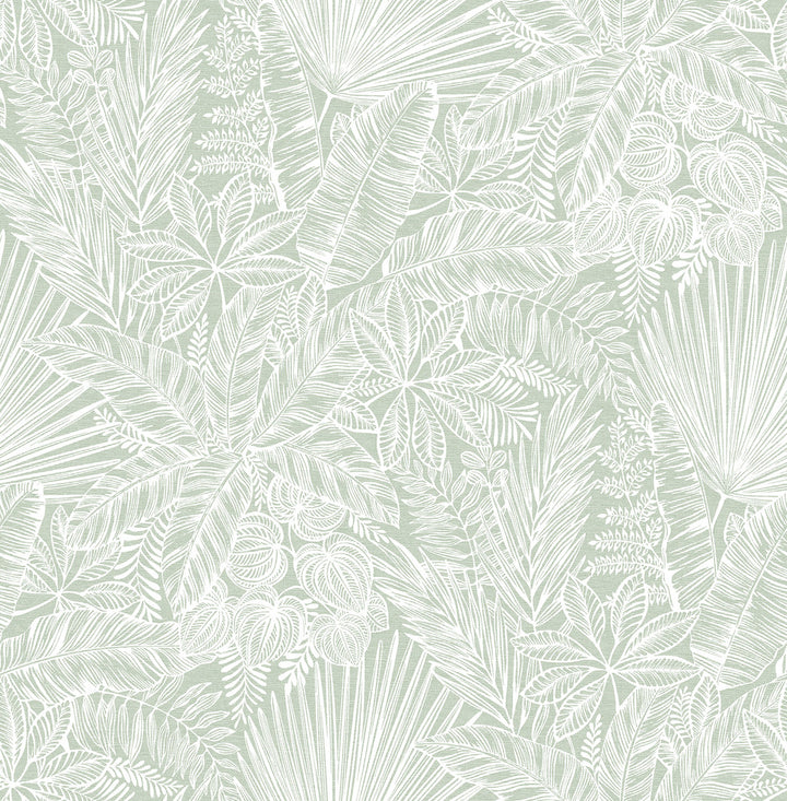 Vita Sage Botanical Wallpaper by A-Street Prints Middleton Covers about 56.4 square feet 20.5-in by 33-ft long roll Unpasted 20.9 - Fabric Carolina -