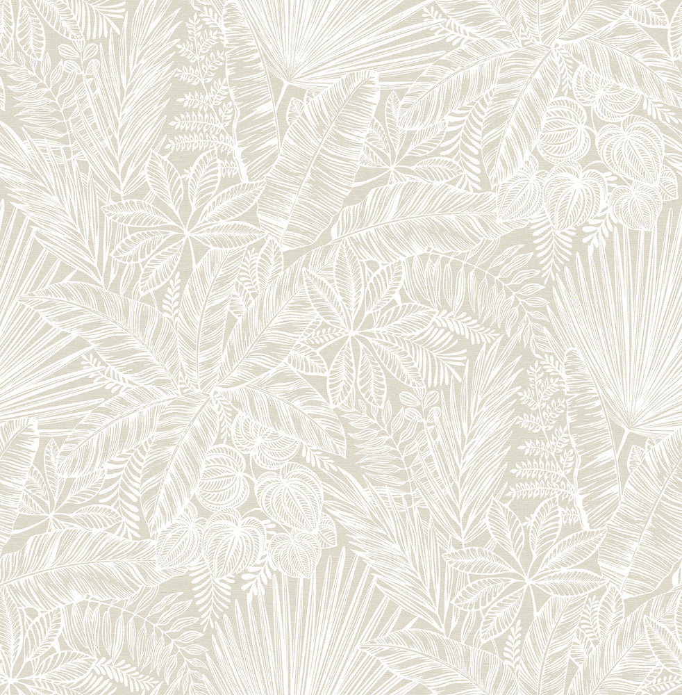 Vita Off-White Botanical Wallpaper by A-Street Prints Middleton Covers about 56.4 square feet 20.5-in by 33-ft long roll Unpasted 20.9 - Fabric Carolina -