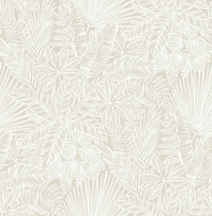 Vita Off-White Botanical Wallpaper by A-Street Prints Middleton Covers about 56.4 square feet 20.5-in by 33-ft long roll Unpasted 20.9 - Fabric Carolina -