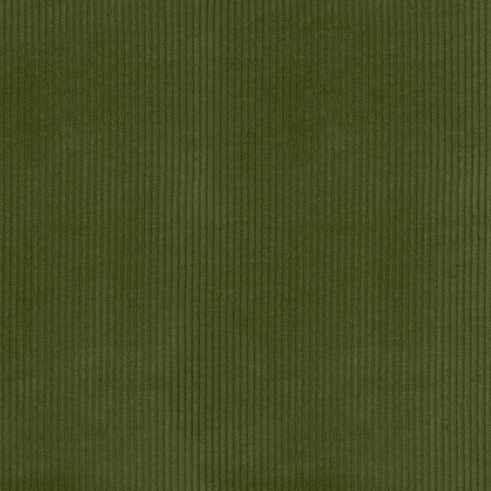 Wales Avocado 412021 by PKL Studio Fabric 100% Cotton China 51000 Horizontal: 0.2 and Vertical: N/A 55 - Fabric Carolina -