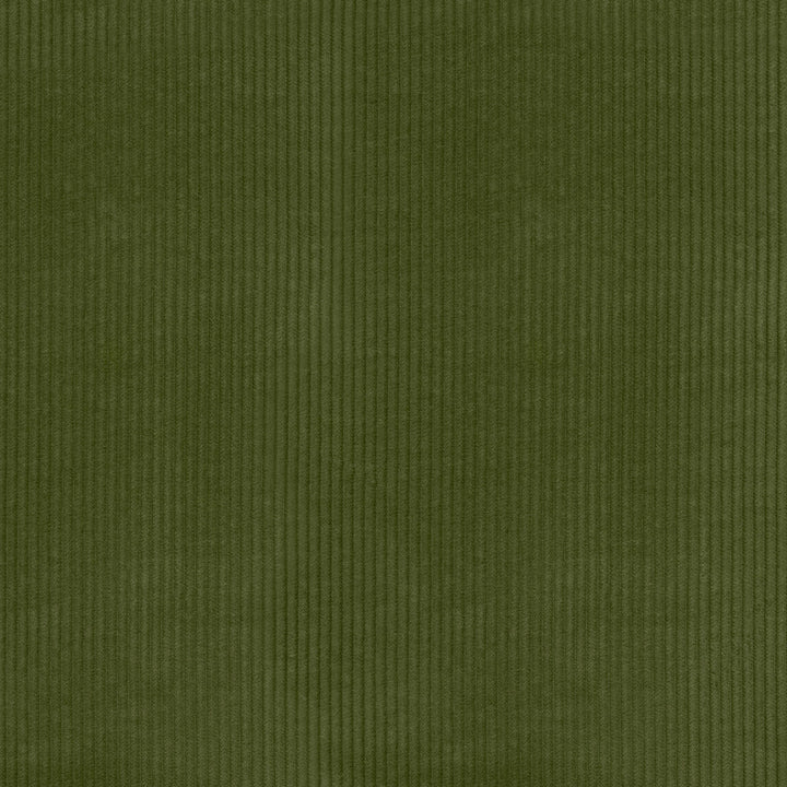 Wales Avocado 412021 by PKL Studio Fabric 100% Cotton China 51000 Horizontal: 0.2 and Vertical: N/A 55 - Fabric Carolina -