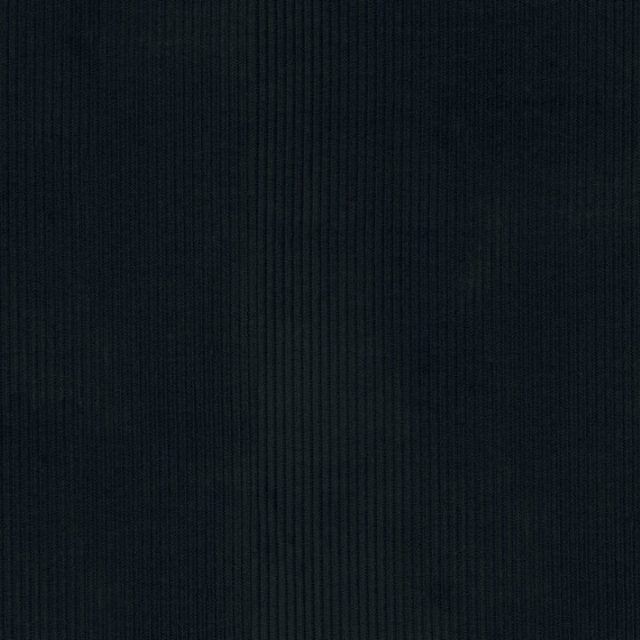 Wales Navy 412023 by PKL Studio Fabric 100% Cotton China 51000 Horizontal: 0.2 and Vertical: N/A 55 - Fabric Carolina -