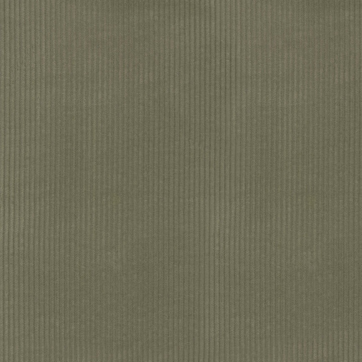 Wales Herbal 412028 by PKL Studio Fabric 100% Cotton China 51000 Horizontal: 0.2 and Vertical: N/A 55 - Fabric Carolina -