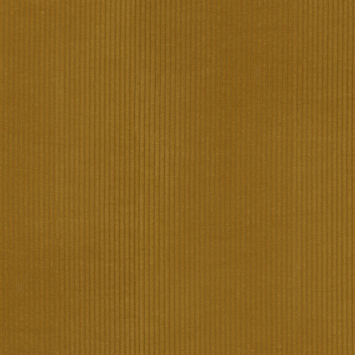 Wales Honey 412032 by PKL Studio Fabric 100% Cotton China 51000 Horizontal: 0.2 and Vertical: N/A 55 - Fabric Carolina -