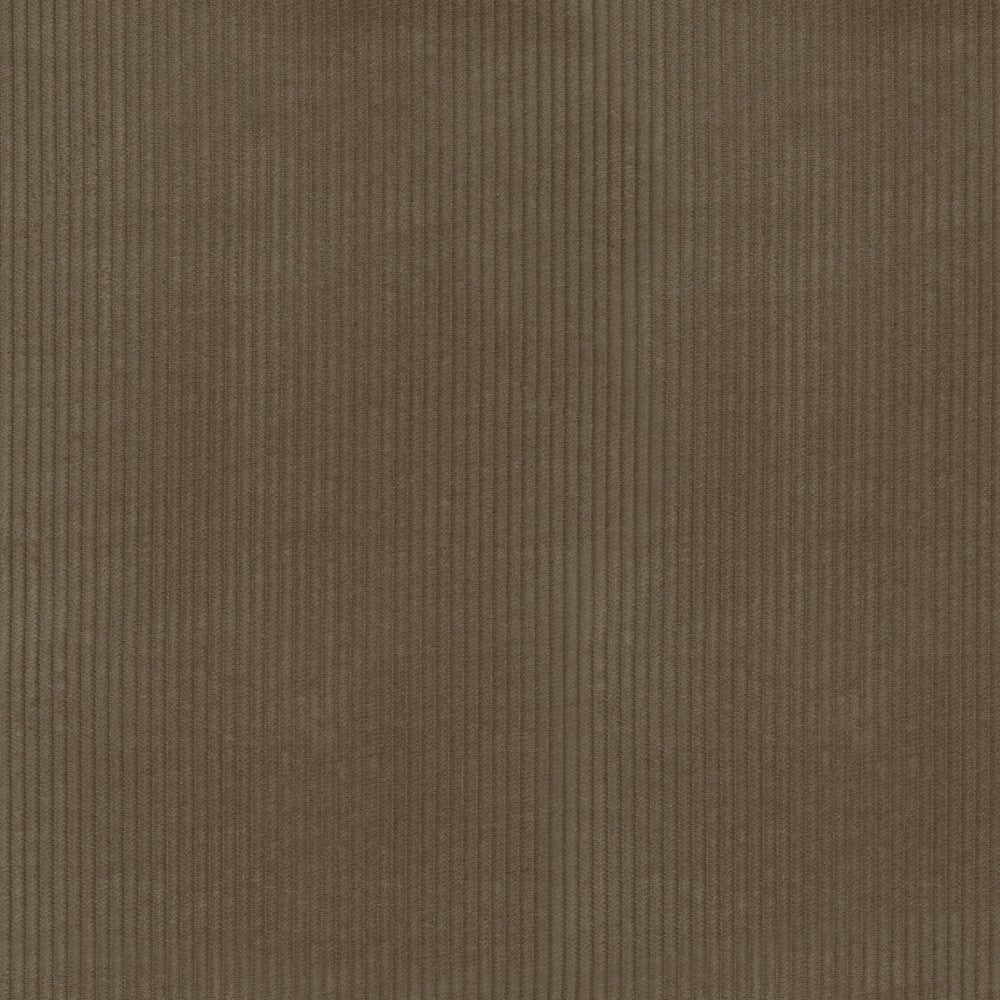 Wales Porcini 412037 by PKL Studio Fabric 100% Cotton China 51000 Horizontal: 0.2 and Vertical: N/A 55 - Fabric Carolina -
