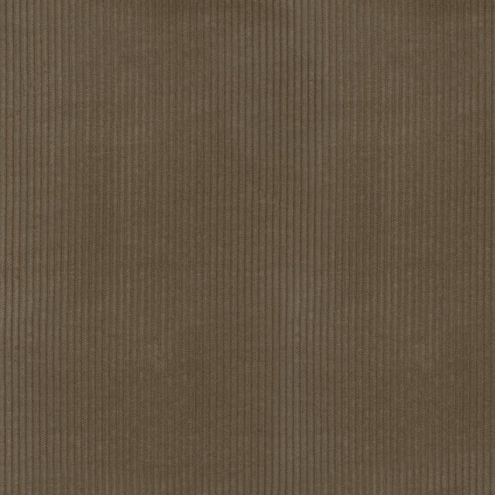 Wales Porcini 412037 by PKL Studio Fabric 100% Cotton China 51000 Horizontal: 0.2 and Vertical: N/A 55 - Fabric Carolina -
