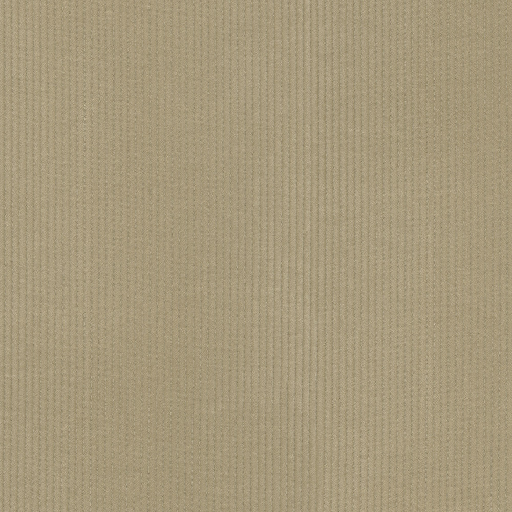 Wales Sand 412044 by PKL Studio Fabric 100% Cotton China 51000 Horizontal: 0.2 and Vertical: N/A 55 - Fabric Carolina -