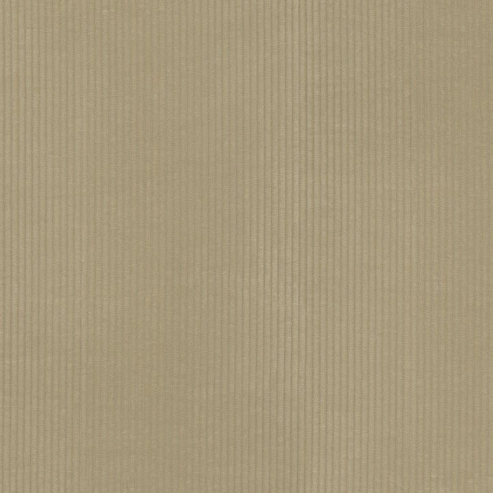 Wales Sand 412044 by PKL Studio Fabric 100% Cotton China 51000 Horizontal: 0.2 and Vertical: N/A 55 - Fabric Carolina -