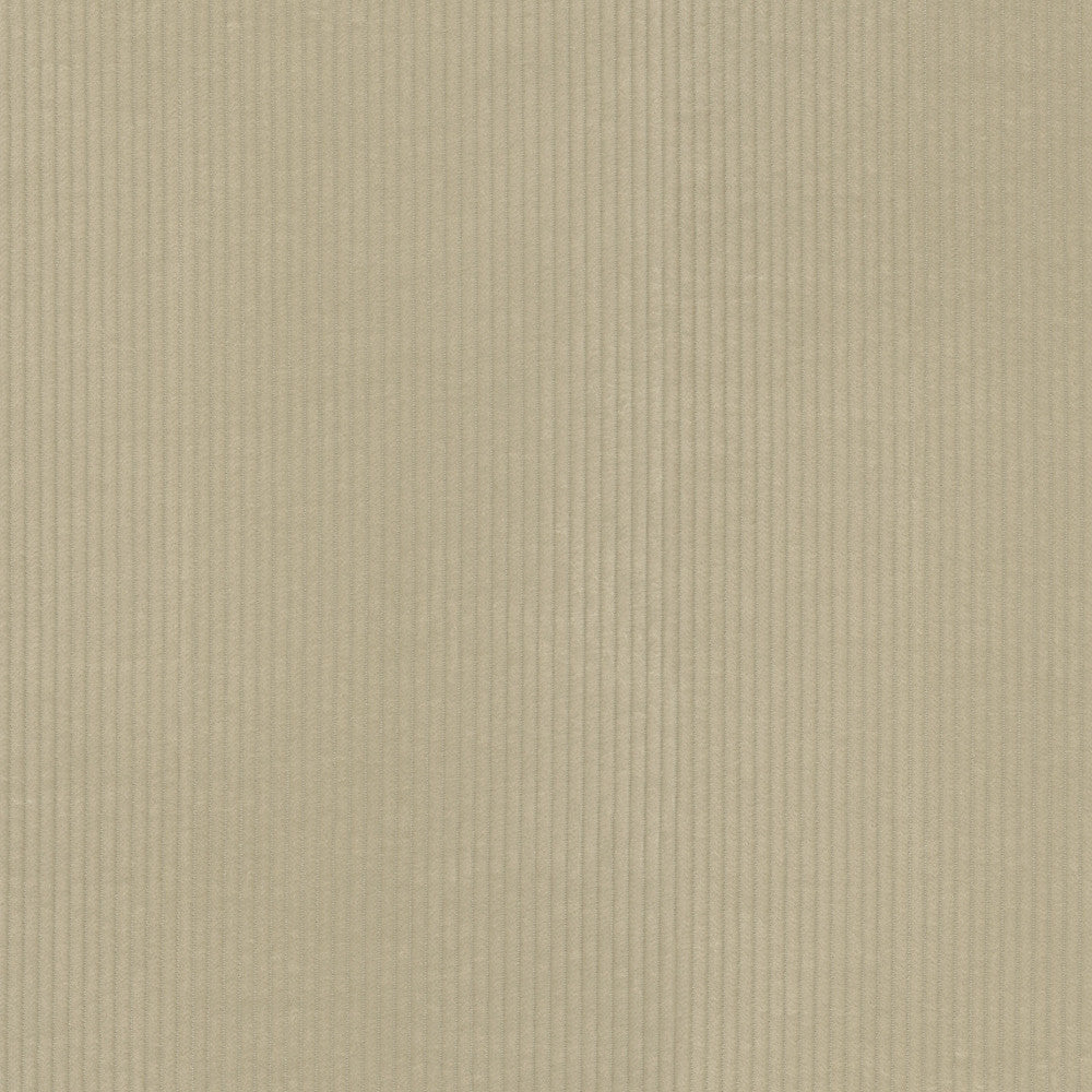 Wales Flax 412045 by PKL Studio Fabric 100% Cotton China 51000 Horizontal: 0.2 and Vertical: N/A 55 - Fabric Carolina -
