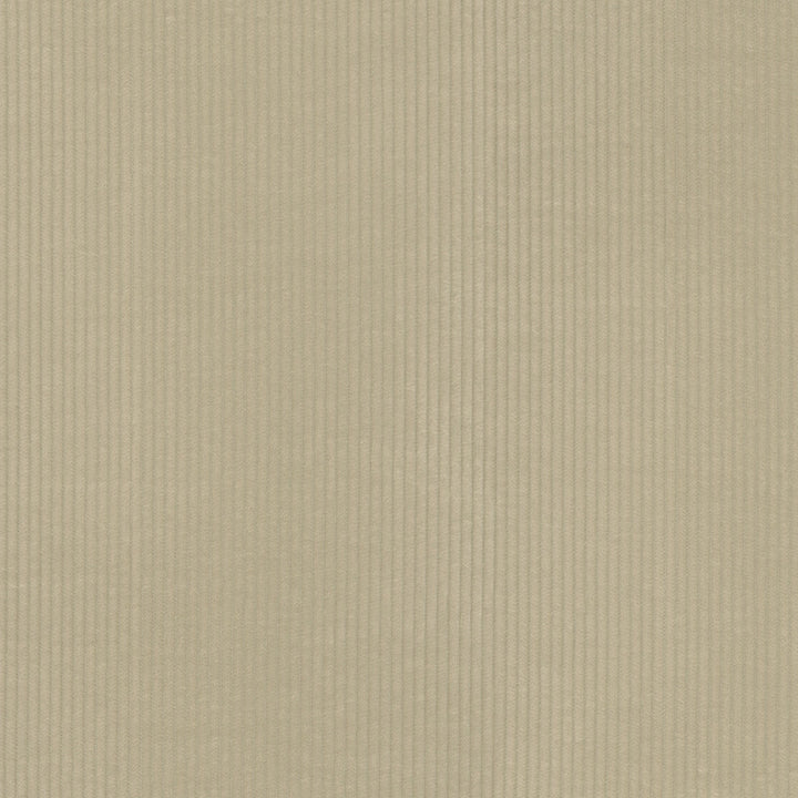 Wales Flax 412045 by PKL Studio Fabric 100% Cotton China 51000 Horizontal: 0.2 and Vertical: N/A 55 - Fabric Carolina -