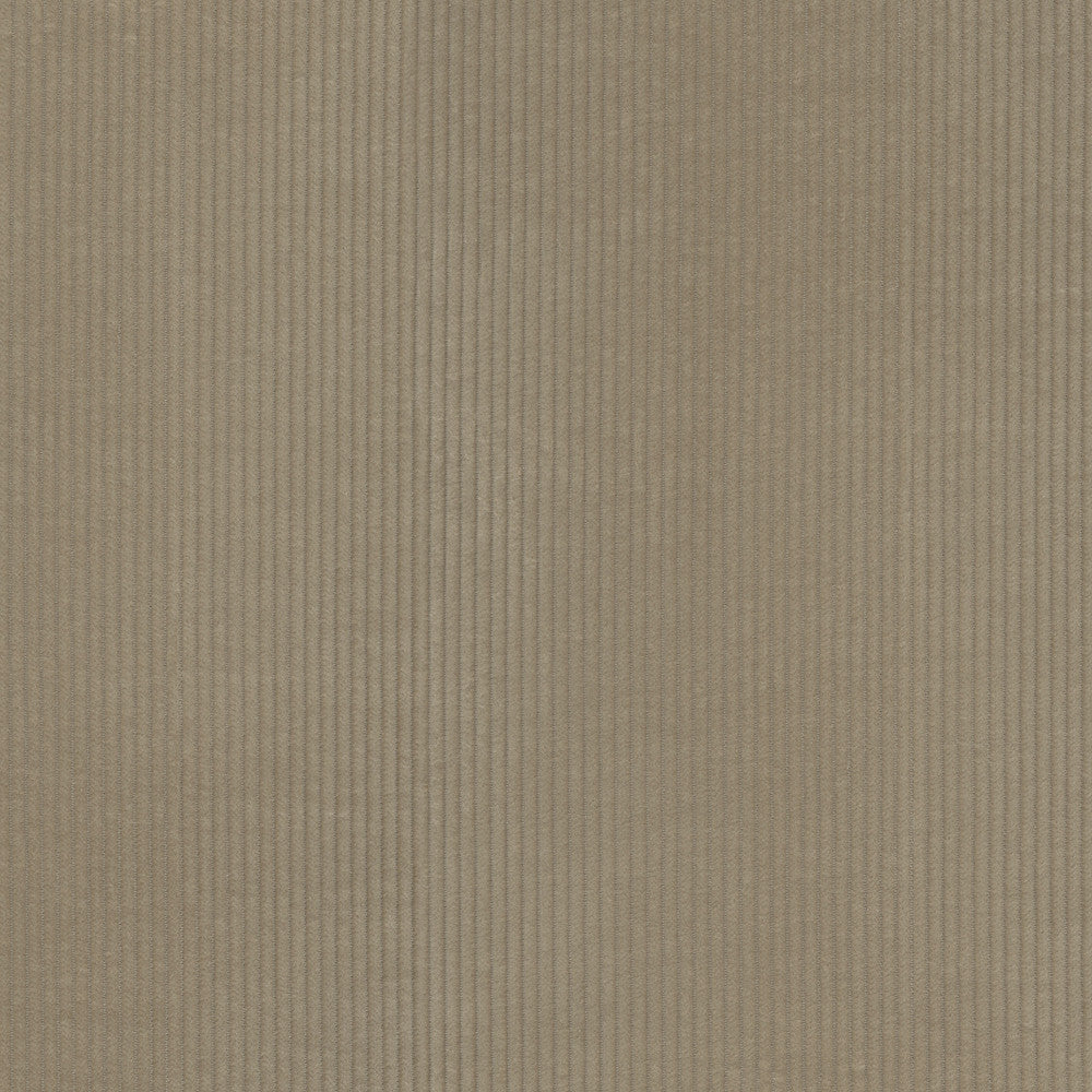 Wales Fawn 412046 by PKL Studio Fabric 100% Cotton China 51000 Horizontal: 0.2 and Vertical: N/A 55 - Fabric Carolina -