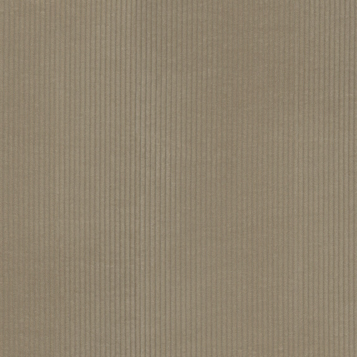 Wales Fawn 412046 by PKL Studio Fabric 100% Cotton China 51000 Horizontal: 0.2 and Vertical: N/A 55 - Fabric Carolina -