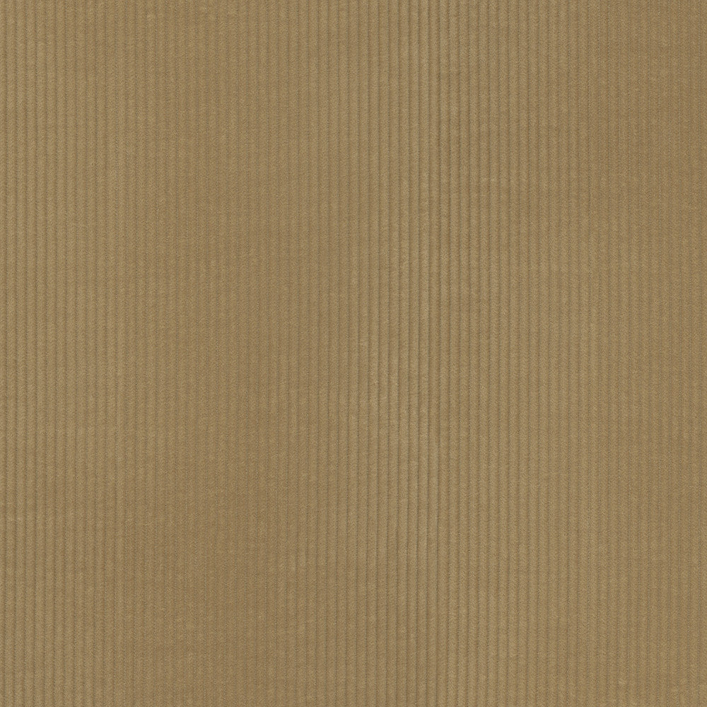 Wales Camel 412047 by PKL Studio Fabric 100% Cotton China 51000 Horizontal: 0.2 and Vertical: N/A 55 - Fabric Carolina -