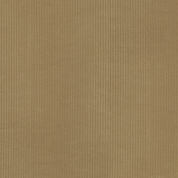 Wales Camel 412047 by PKL Studio Fabric 100% Cotton China 51000 Horizontal: 0.2 and Vertical: N/A 55 - Fabric Carolina -