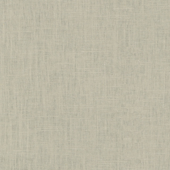 Chester Driftwood 412051 by PKL Studio Fabric 58% Linen, 42% Rayon China 24000 Horizontal: N/A and Vertical: N/A 54 - Fabric Carolina -
