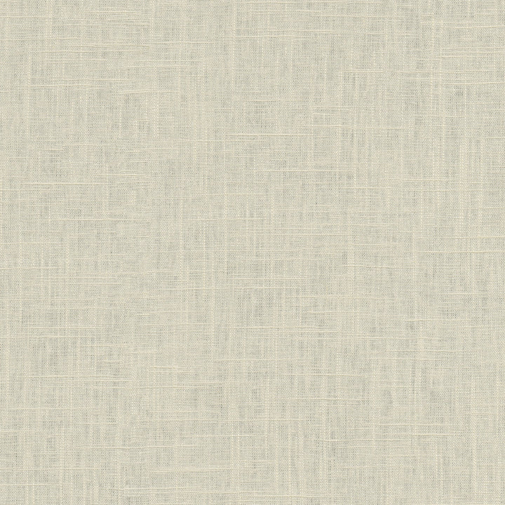 Chester Parchment 412054 by PKL Studio Fabric 58% Linen, 42% Rayon China 24000 Horizontal: N/A and Vertical: N/A 54 - Fabric Carolina -