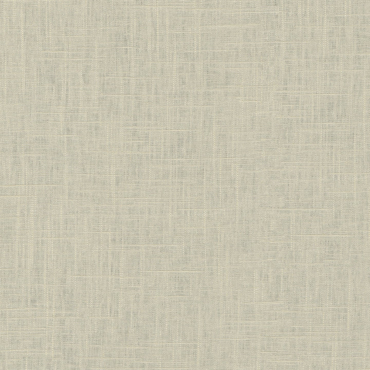 Chester Sesame 412055 by PKL Studio Fabric 58% Linen, 42% Rayon China 24000 Horizontal: N/A and Vertical: N/A 54 - Fabric Carolina -