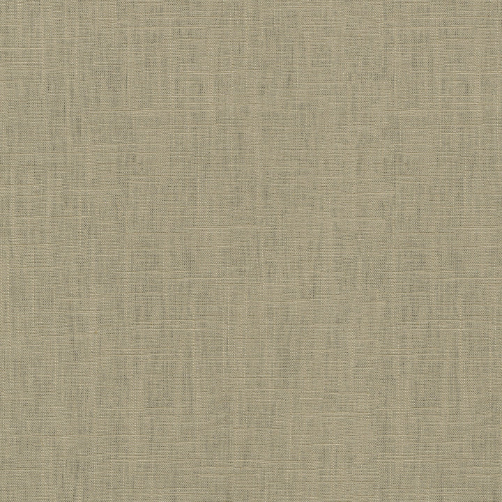 Chester Camel 412058 by PKL Studio Fabric 58% Linen, 42% Rayon China 24000 Horizontal: N/A and Vertical: N/A 54 - Fabric Carolina -
