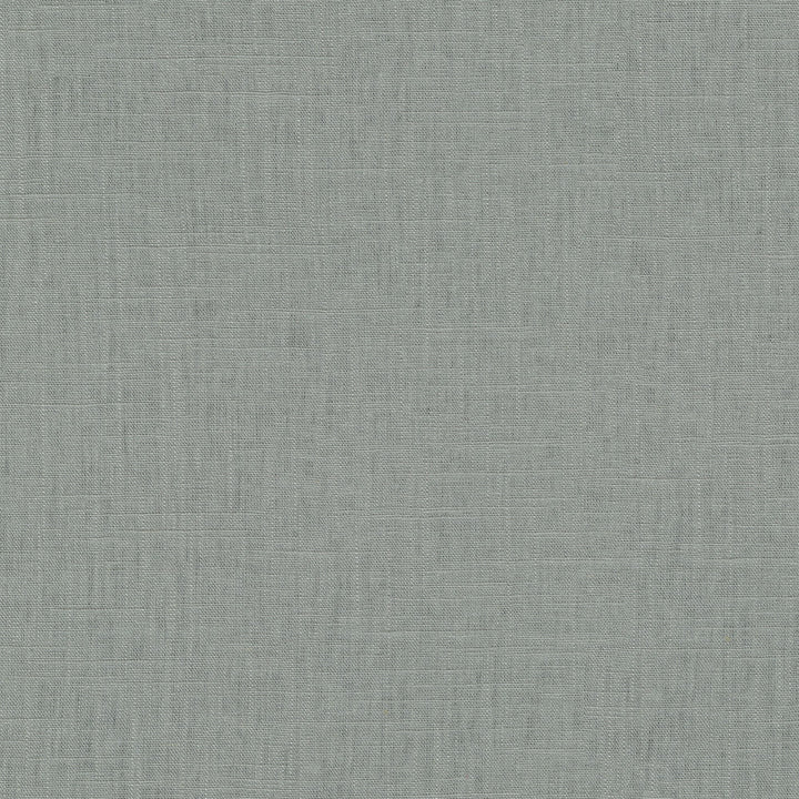Chester Limestone 412065 by PKL Studio Fabric 58% Linen, 42% Rayon China 24000 Horizontal: N/A and Vertical: N/A 54 - Fabric Carolina -