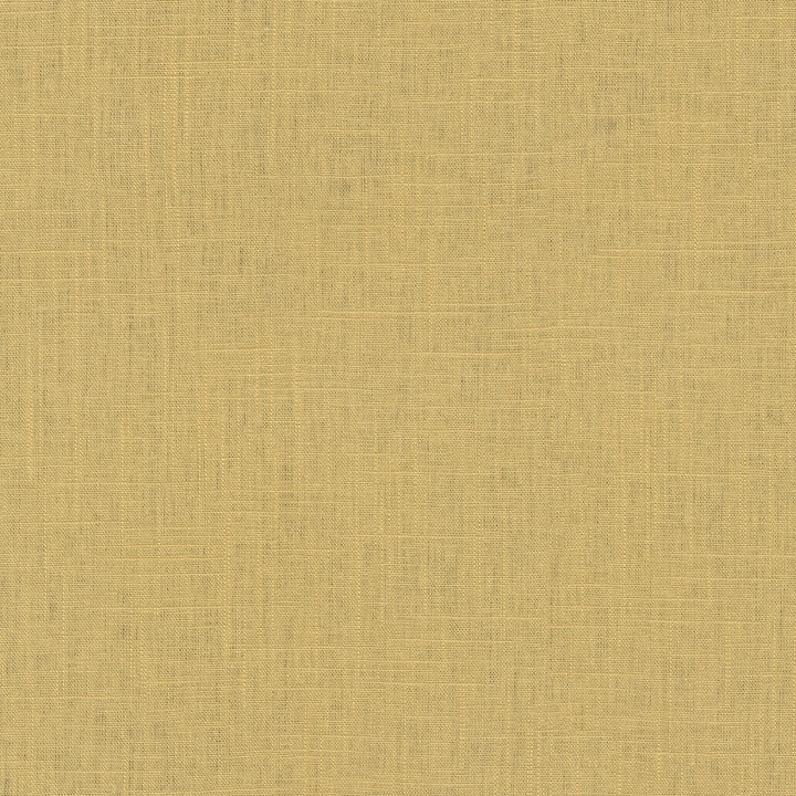 Chester Gold 412069 by PKL Studio Fabric 58% Linen, 42% Rayon China 24000 Horizontal: N/A and Vertical: N/A 54 - Fabric Carolina -