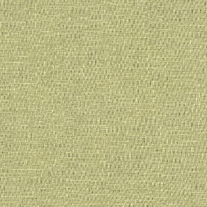 Chester Spring 412079 by PKL Studio Fabric 58% Linen, 42% Rayon China 24000 Horizontal: N/A and Vertical: N/A 54 - Fabric Carolina -