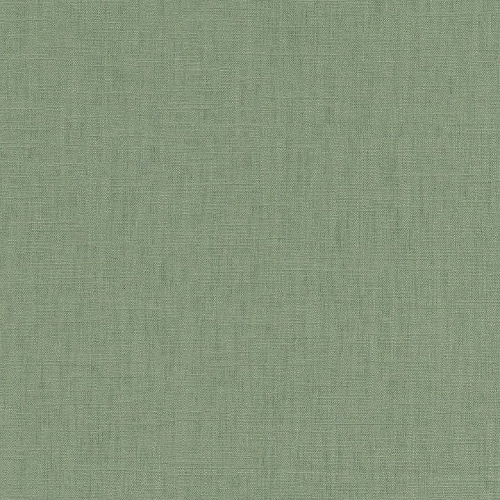 Chester Aloe 412080 by PKL Studio Fabric 58% Linen, 42% Rayon China 24000 Horizontal: N/A and Vertical: N/A 54 - Fabric Carolina -