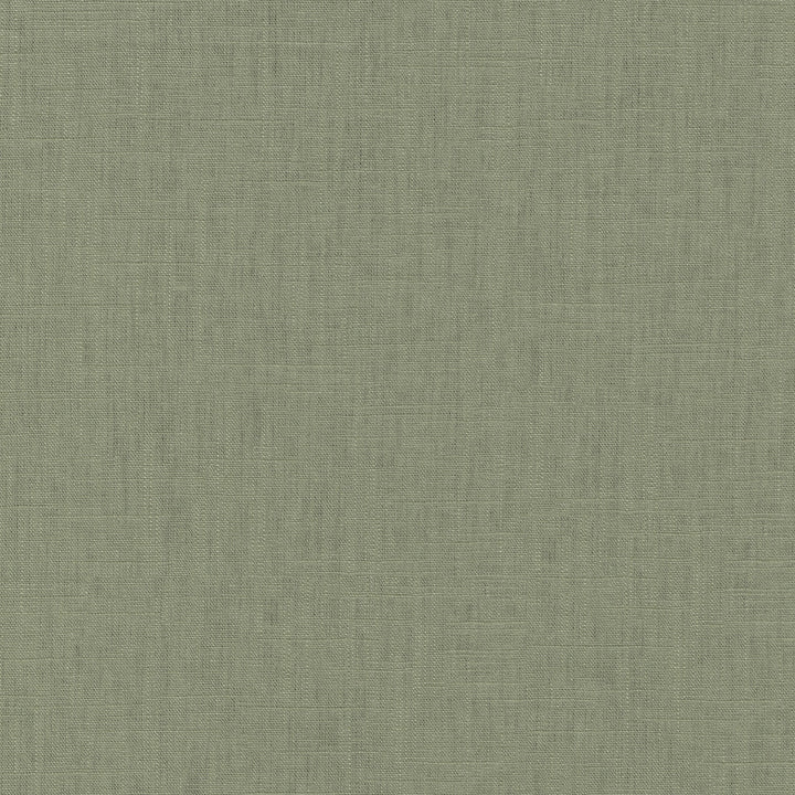 Chester Bay Leaf 412081 by PKL Studio Fabric 58% Linen, 42% Rayon China 24000 Horizontal: N/A and Vertical: N/A 54 - Fabric Carolina -